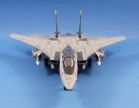 F-14D Tomcat