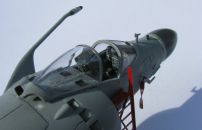 Sea Harrier