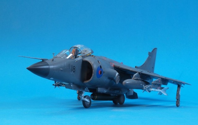 Sea Harrier FRS.1 (1/48)