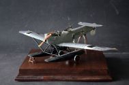 Hansa Brandenburg W.29 (1/32)