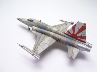 Feinddarstellungsflugzeug Northrop F-5N Tiger II (1/144)