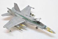 McDonnel Douglas F/A-18C Hornet (1/48)