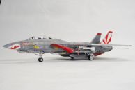 Jagdflugzeug Grumman F-14A Tomcat (1/48)