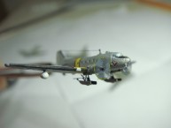 Douglas R4D Skytrain (1/700)