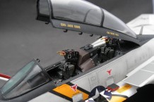 Grumman F-14A Tomcat (1/48)