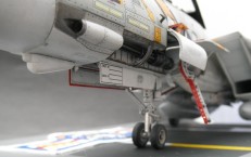 Grumman F-14A Tomcat (1/48)