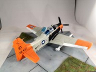 Marinekampfflugzeug Douglas AD-5 Skyraider (1/48)