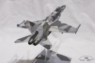 Feinddarstellungsflugzeug McDonnell Douglas F/A-18A+ Hornet (1/48)