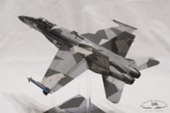 Feinddarstellungsflugzeug McDonnell Douglas F/A-18A+ Hornet (1/48)