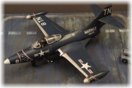 Aufklärer Grumman Panther (1/48)