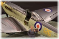 Supermarine Seafire F.XVII (1/48)