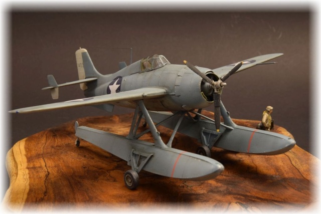 Jäger Grumman Wildcatfish (1/48)