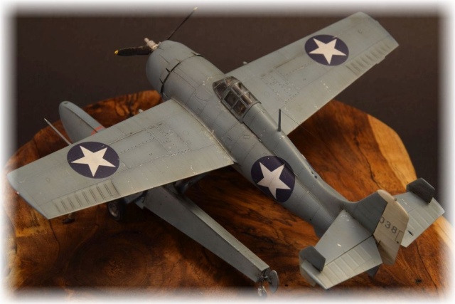 Jäger Grumman Wildcatfish (1/48)